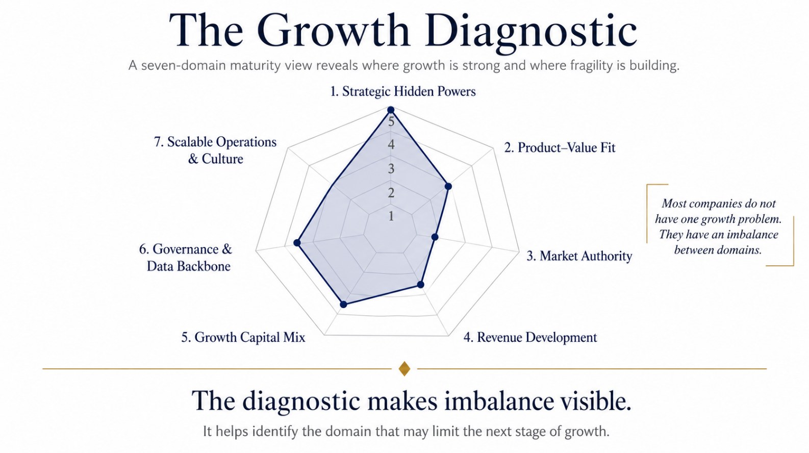 Diagram: seven-domain maturity radar showing where growth is strong and where fragility is building.